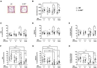 Age-Dependent Neuropsychiatric Symptoms in the NF-κB/c-Rel Knockout Mouse Model of Parkinson’s Disease